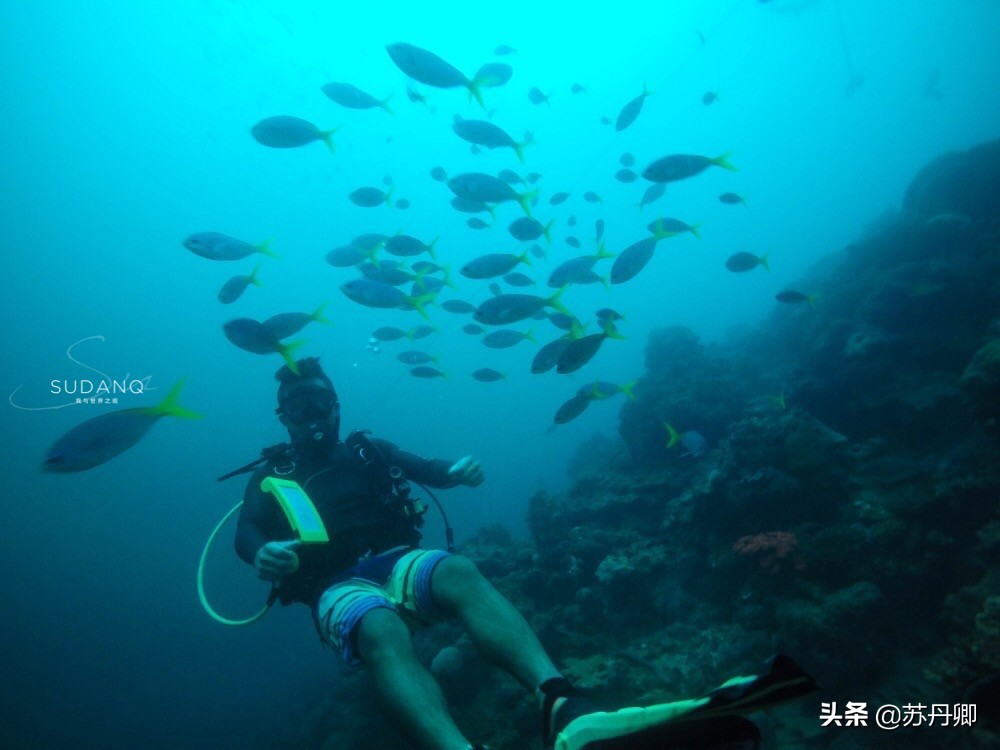 不会游泳也能遨游在海洋,不会游泳可以深海潜水吗