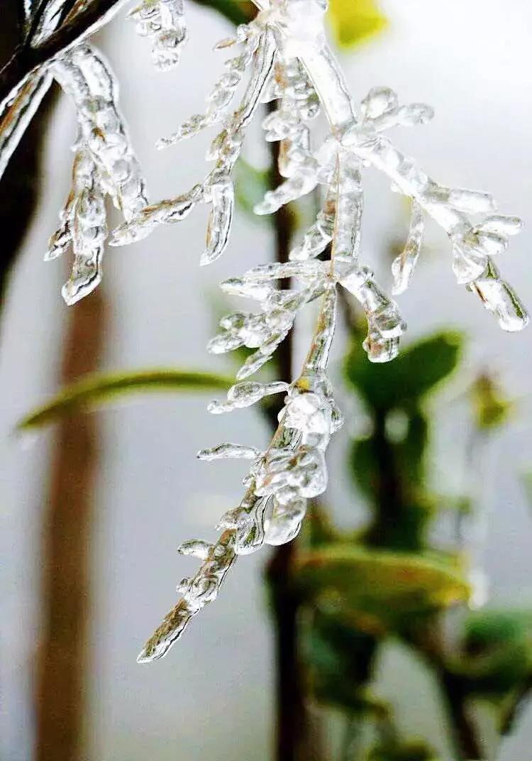 贵阳云雾山云海,贵阳云雾山雾凇旅游攻略