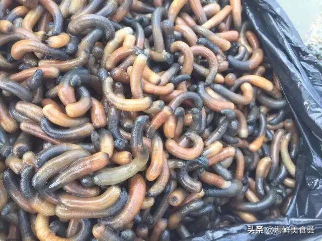 常见的鱼虾蟹等海鲜的认识,虾蟹类海鲜大全