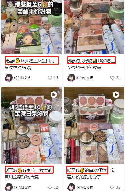 高品质霸屏小红书kol精确营销,小红书kol营销成功案例