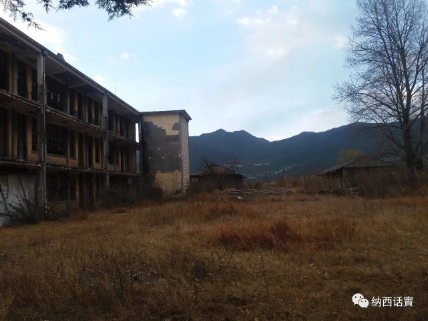 云南丽江杨杰宏,杨杰宏柔术