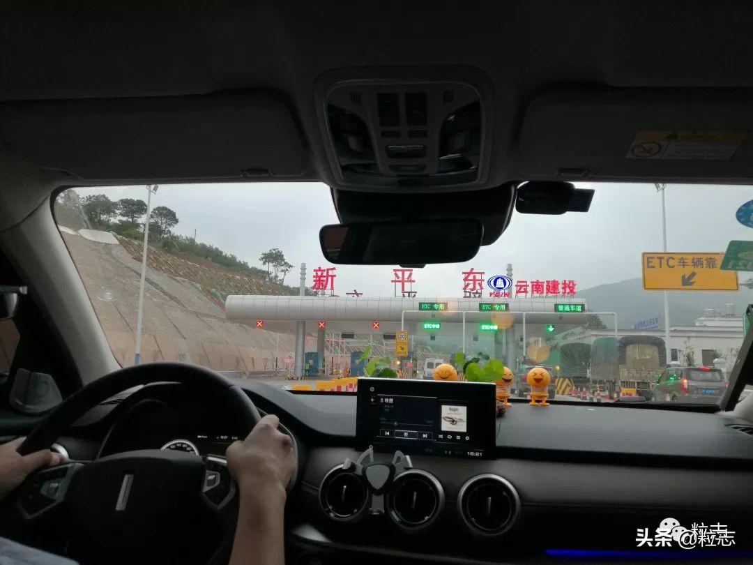 老伙，你的橙子离你更近了……｜粒志