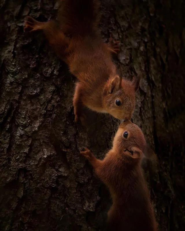 葬礼当天，她成为了四个孩子的“后妈”，网友：这是童话故事吧