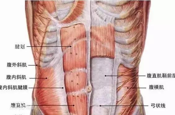 自曝产后尿失禁的危害,明星自曝产后后遗症