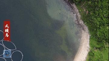 洞头海钓赶海最佳地点,阳江大镬岛矶钓点