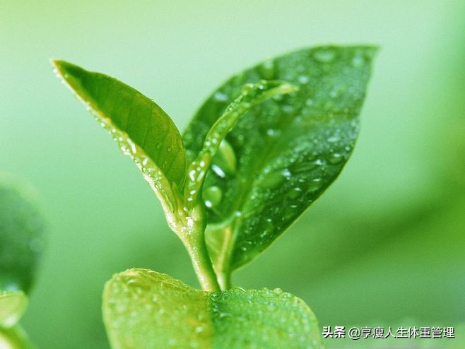 脂肪型脸胖怎么瘦脸,瘦脸技巧轻松甩掉脸大烦恼