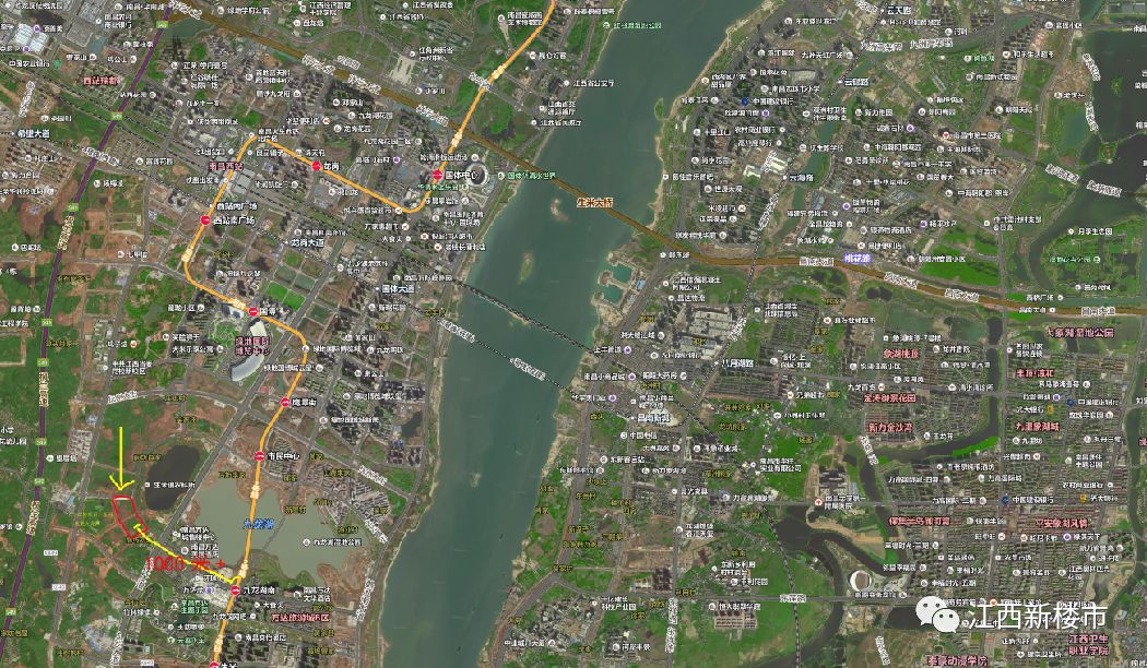 九龙湖单价低的学区房,九龙湖现在要门票吗