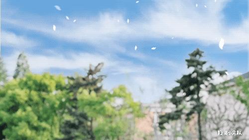 上海当地人都喜欢的店,在广东的上海人