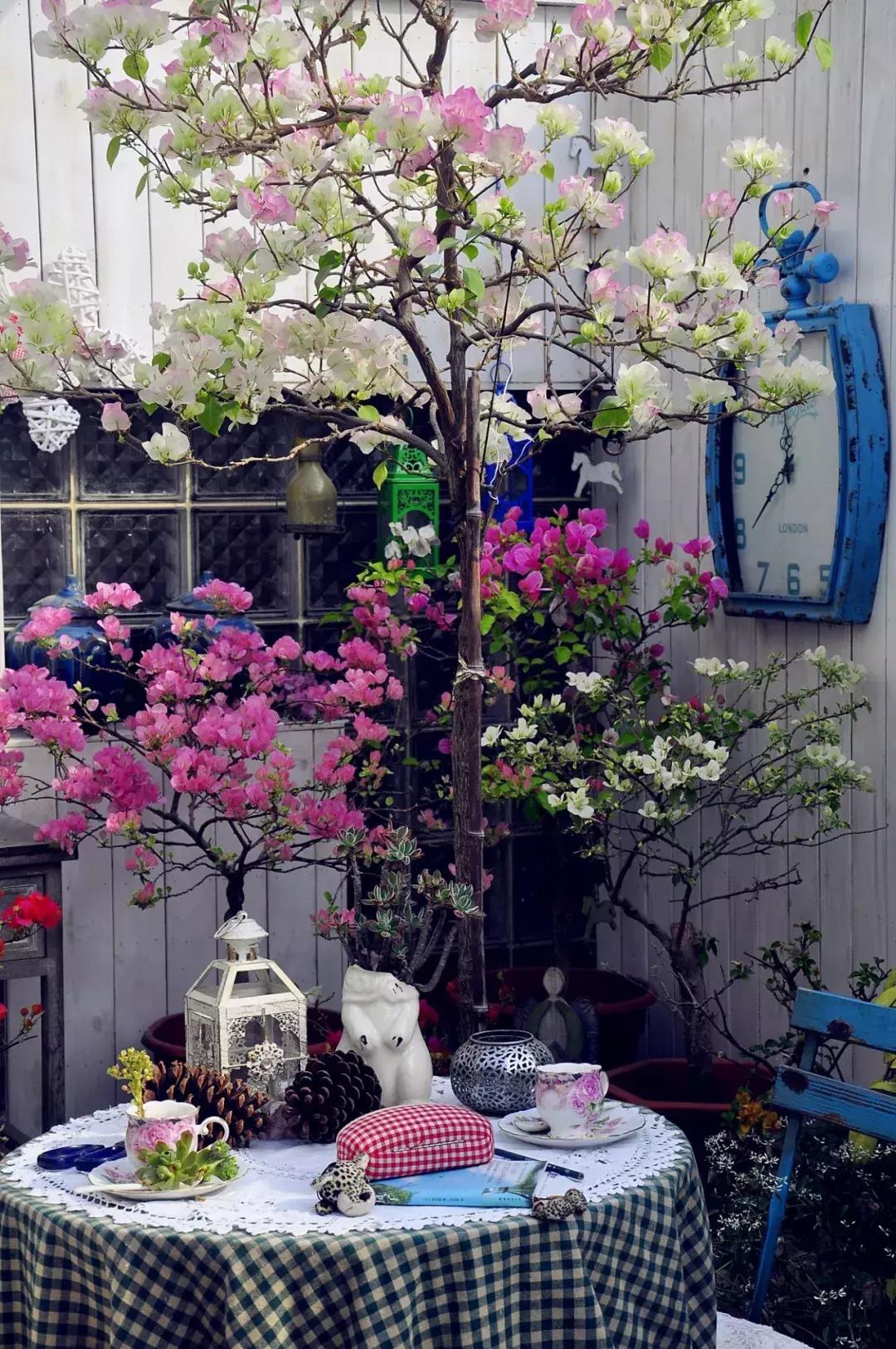 她40岁之前忙成狗，40岁之后在上海买房隐居