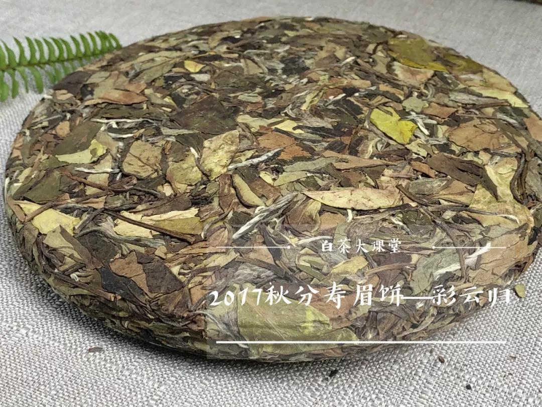 老白茶保存久了闻着没茶味,老白茶深度解读