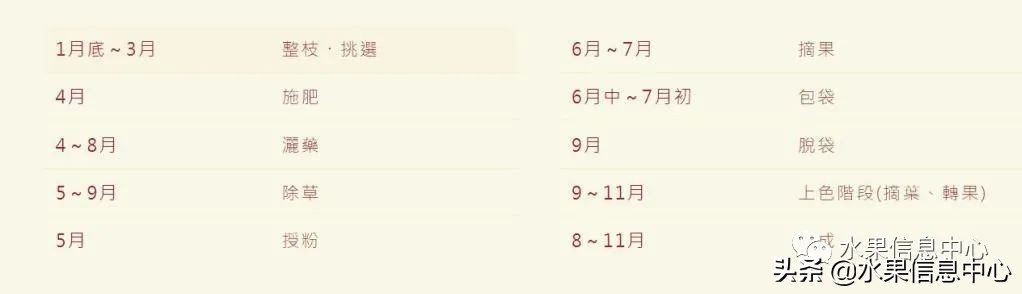 日本苹果种植现状,为什么日本苹果质量比中国的好