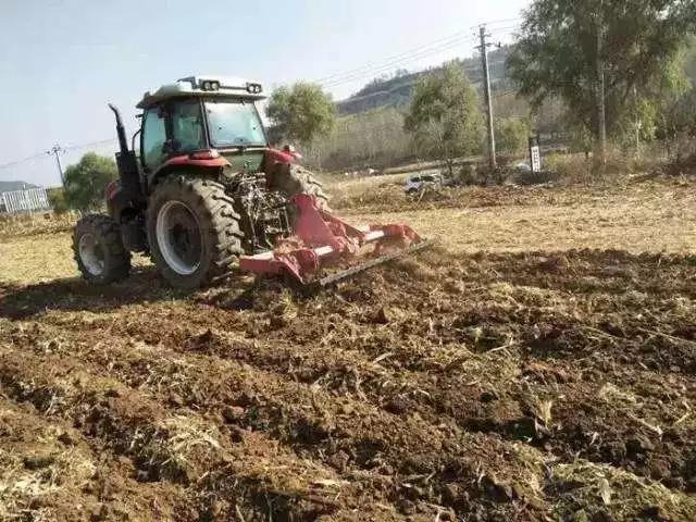 2020农业补贴政策,养殖肉牛补贴政策2020标准