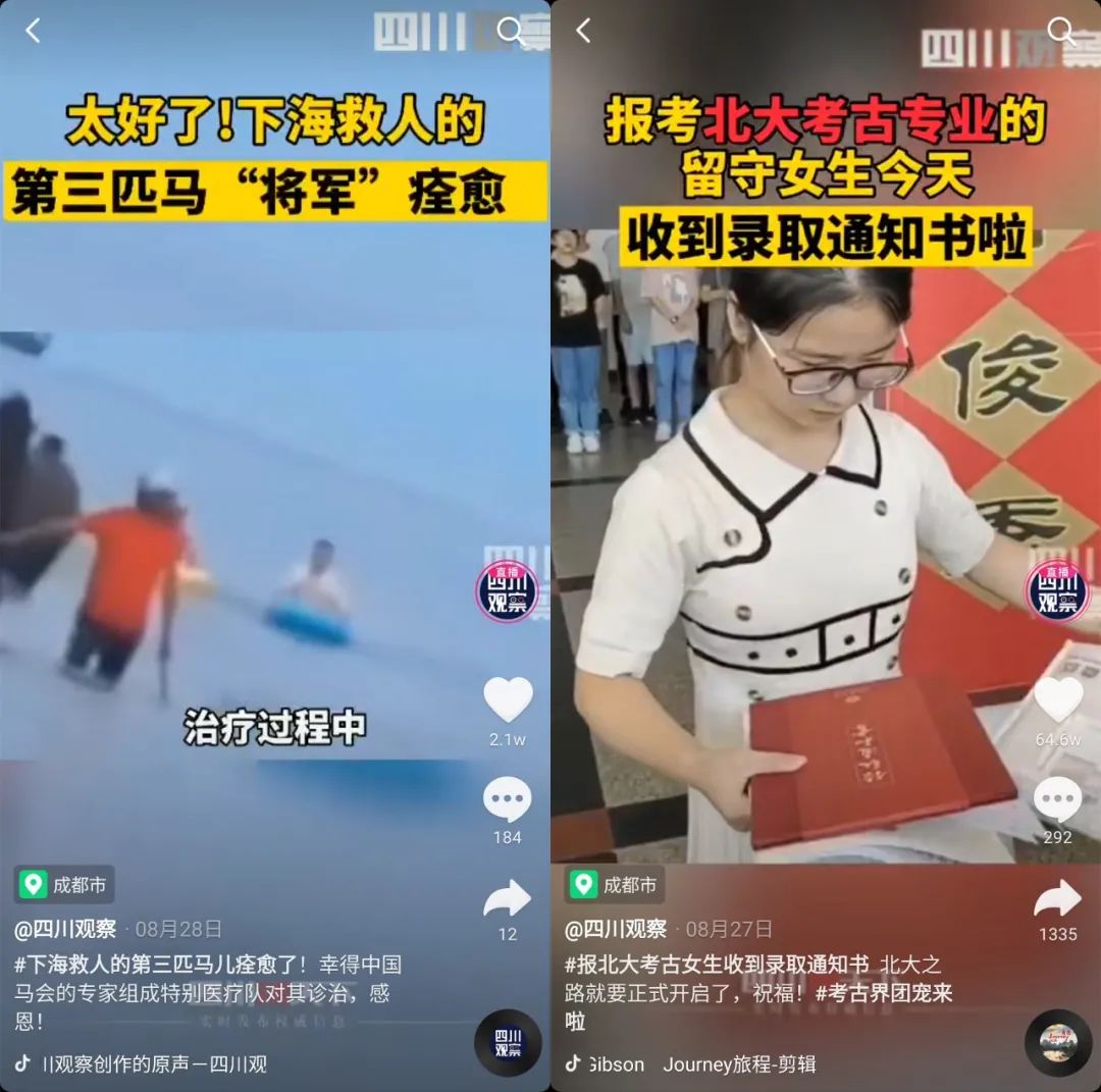 三个月抖音涨粉200万,近两个月涨粉千万的网红