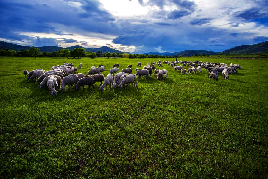 呼伦贝尔大草原月亮小镇,呼伦贝尔草原浪漫小镇