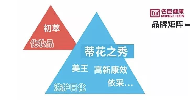 化妆品2020年度企业回顾视频,化妆品上市公司排名前十