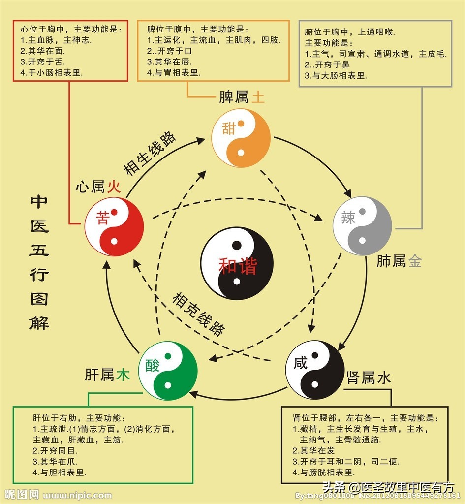 甲状腺结节有可能瞬间变成癌吗,甲状腺结节两年后不见了