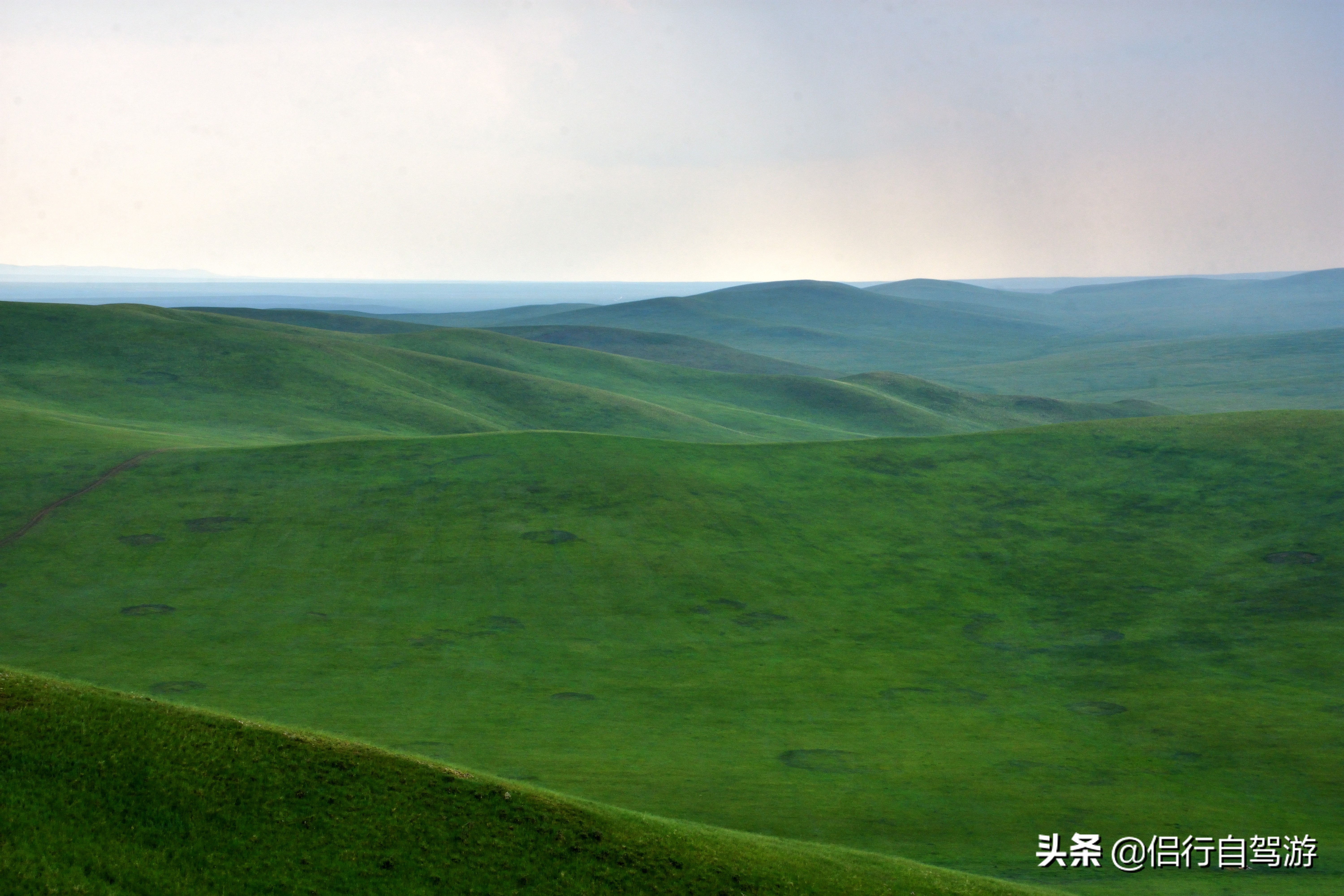 西乌旗景观大道,两条景观大道