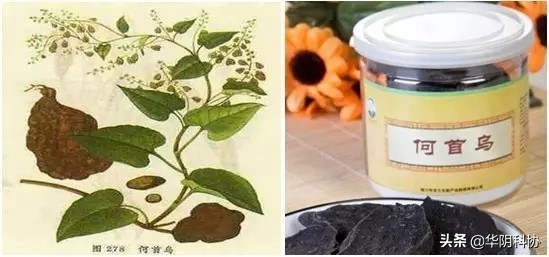 中药对肝的副作用,是药三分毒一定对吗