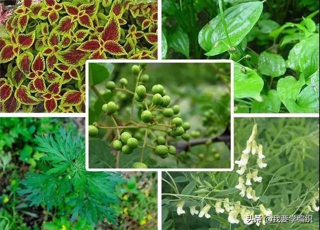 去除被子异味最基本最简单的方法,被子太久没晒有味道怎么办