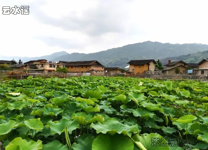 寻梦云水谣，探访福建南靖土楼，漫步厦门大学