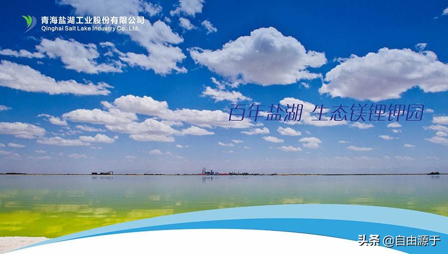 盐湖股份三季度净利润大幅度增加,盐湖股份盈利能力分析