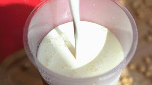 买一送一长沙店,豆乳买一送一