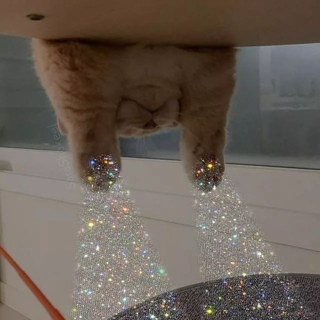 万物皆可「施华洛世奇」！大概没有这个妹子造不出的blingbling