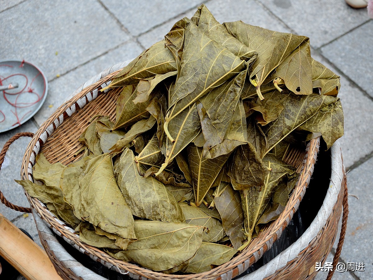 80岁老夫妻捡拾桐子果，剥壳晒干后卖2元1斤，能卖一分算一分