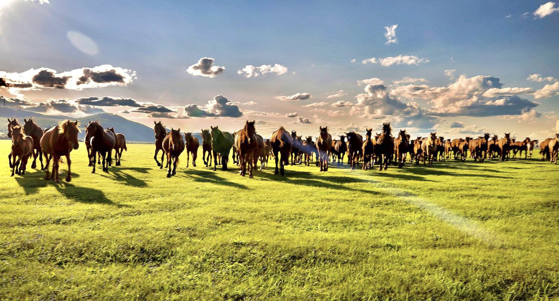 河西走廊三天自驾游旅游攻略,河西走廊7日旅游路线