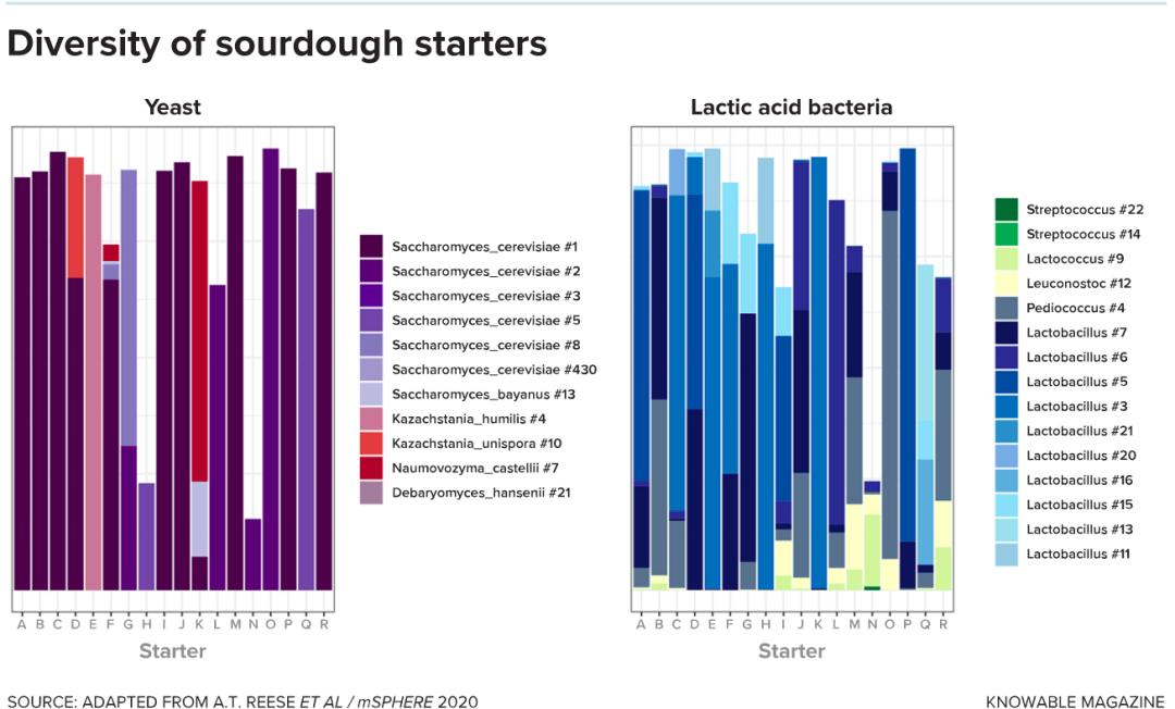 旧金山适合种植植物,旧金山为什么那么美