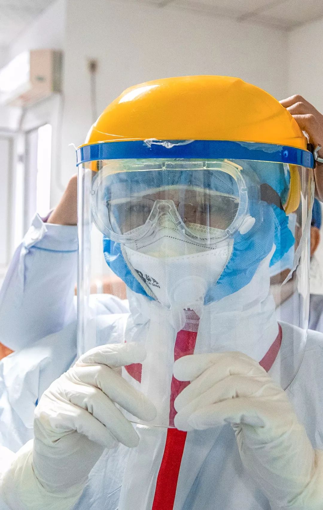 感染病毒后的168小时，你的体内都发生了什么？