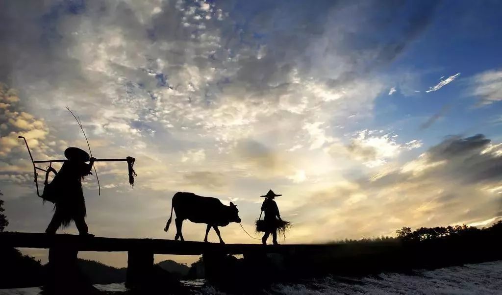 沅陵乡村放牛娃,放牛娃道县