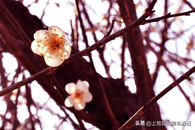 南通狼山一日游详细攻略图,夏天南通狼山一日游详细攻略