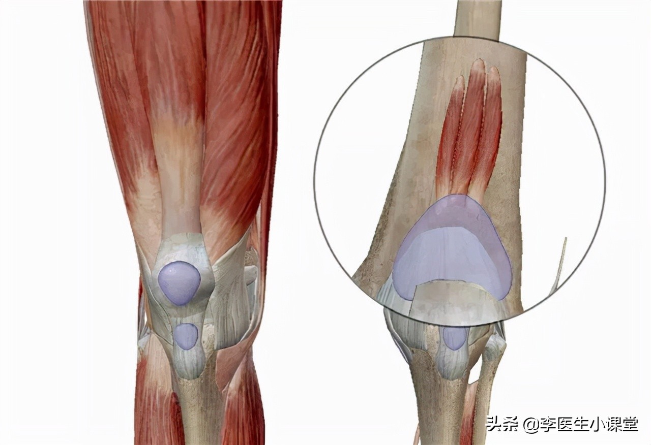 老年人膝盖下蹲和起立疼痛,老年人下楼梯膝盖疼怎么回事
