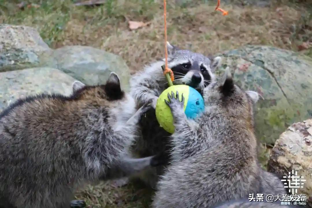 黄金周期间不会去旅游的原因,黄金周不出门旅游