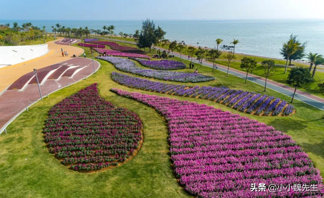 珠海能成为最宜居的城市,珠海各区宜居程度