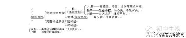 陕西2022初中生物会考知识点,初中生物会考知识点总结doc