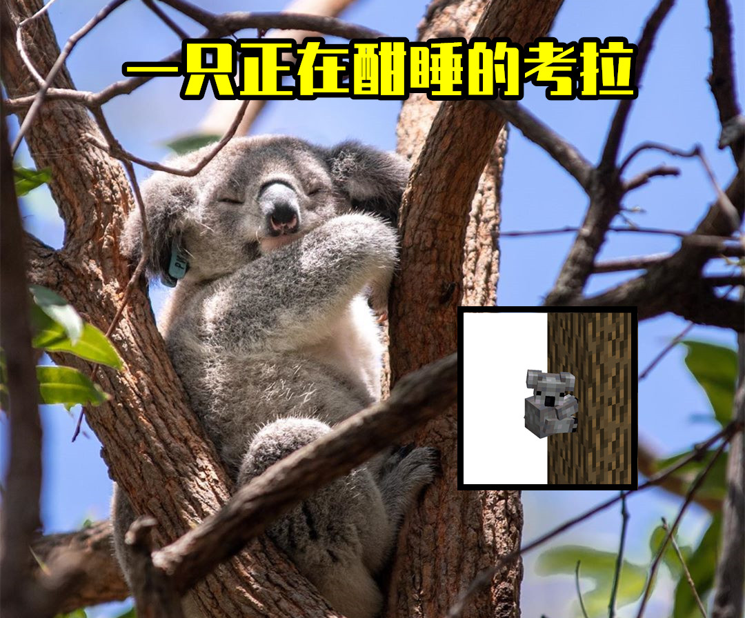 我的世界树袋熊,我的世界北极熊加入理由有多离谱