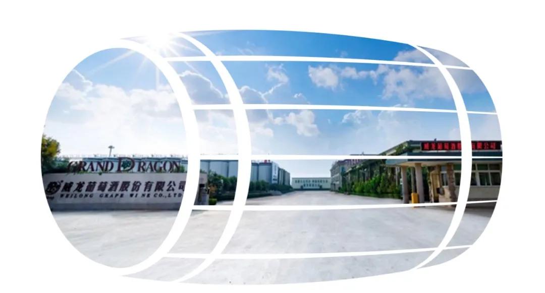 2019布鲁塞尔红酒大赛获奖,布鲁塞尔国际葡萄酒大赛标志