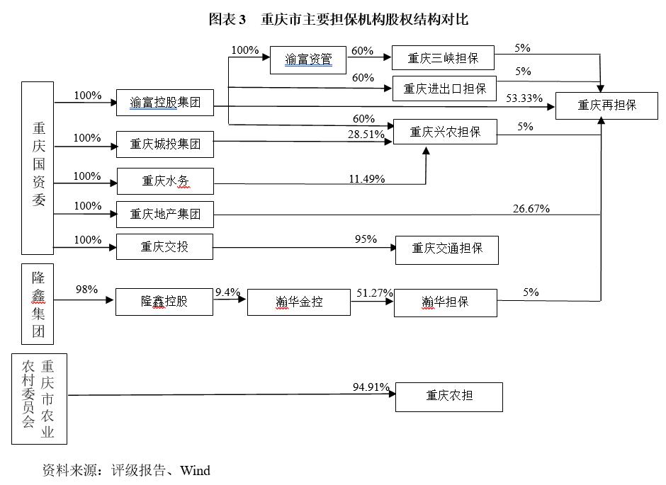 重庆渝中区担保公司,重庆担保行业监管