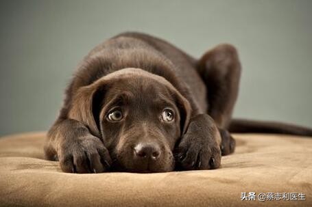 如何治好自己的恐惧症,如果有恐惧症应该关注什么