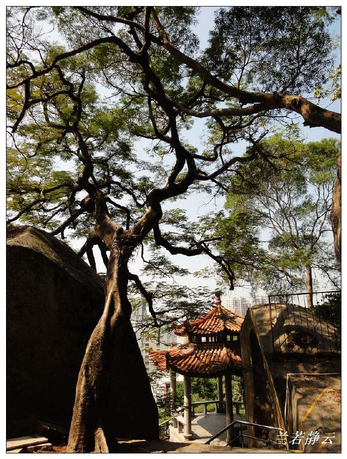 寻找厦门秋日的浪漫,寻找厦门最美风景