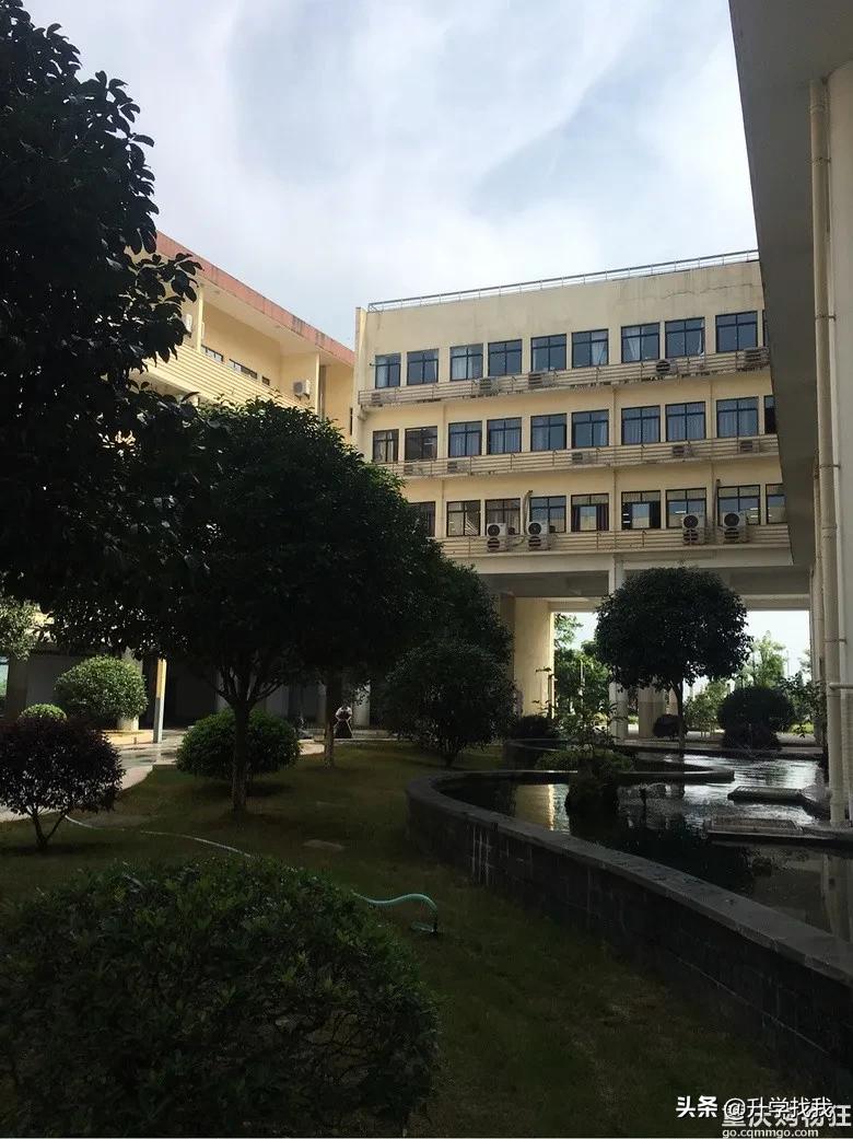 重庆这所中学堪称“低进高出”的典范，升本率高达38%