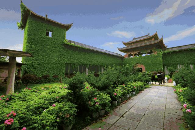 踏青门票免费,景区门票特惠票9.9