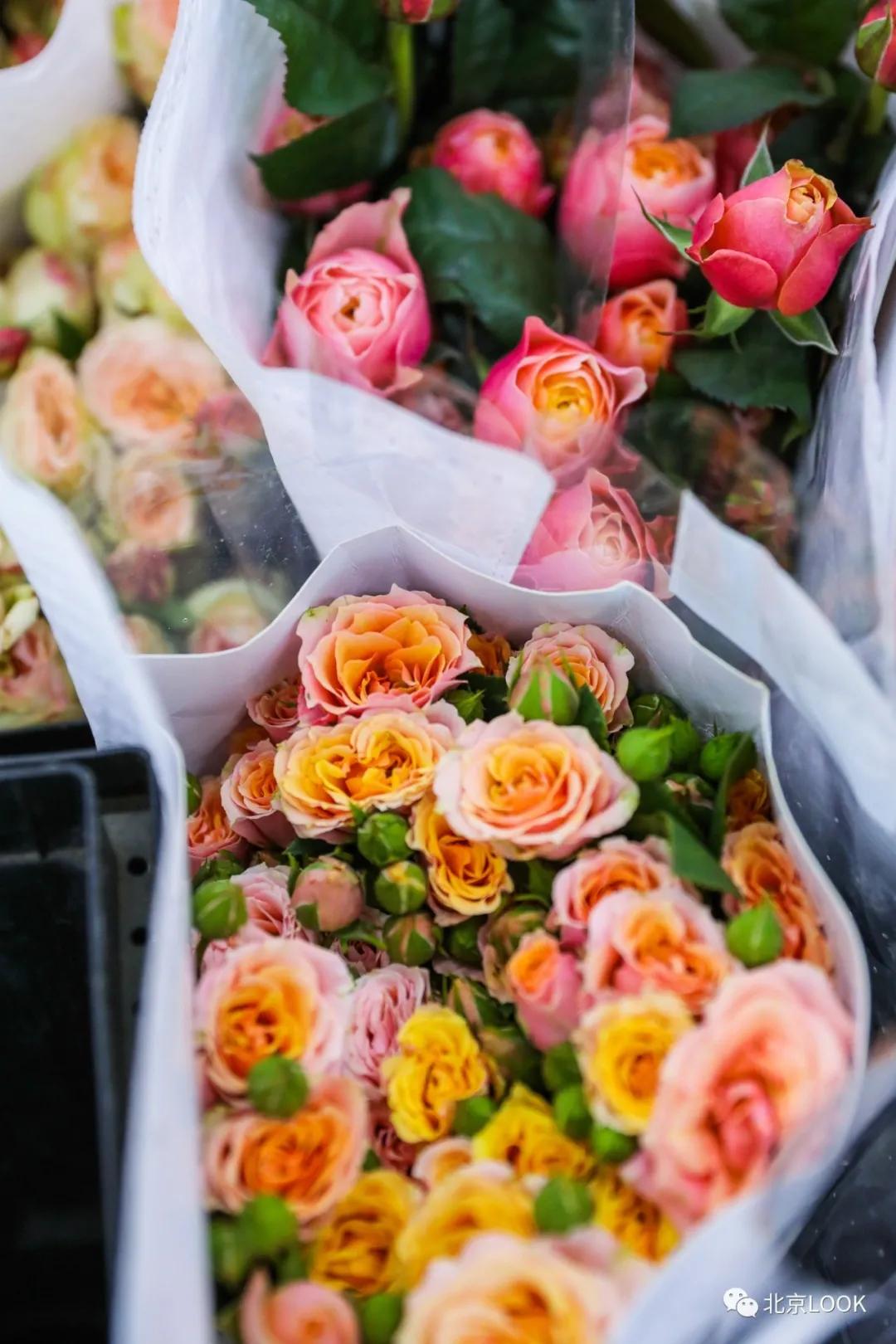 北京最大的露天花卉,北京最大的花卉大观园