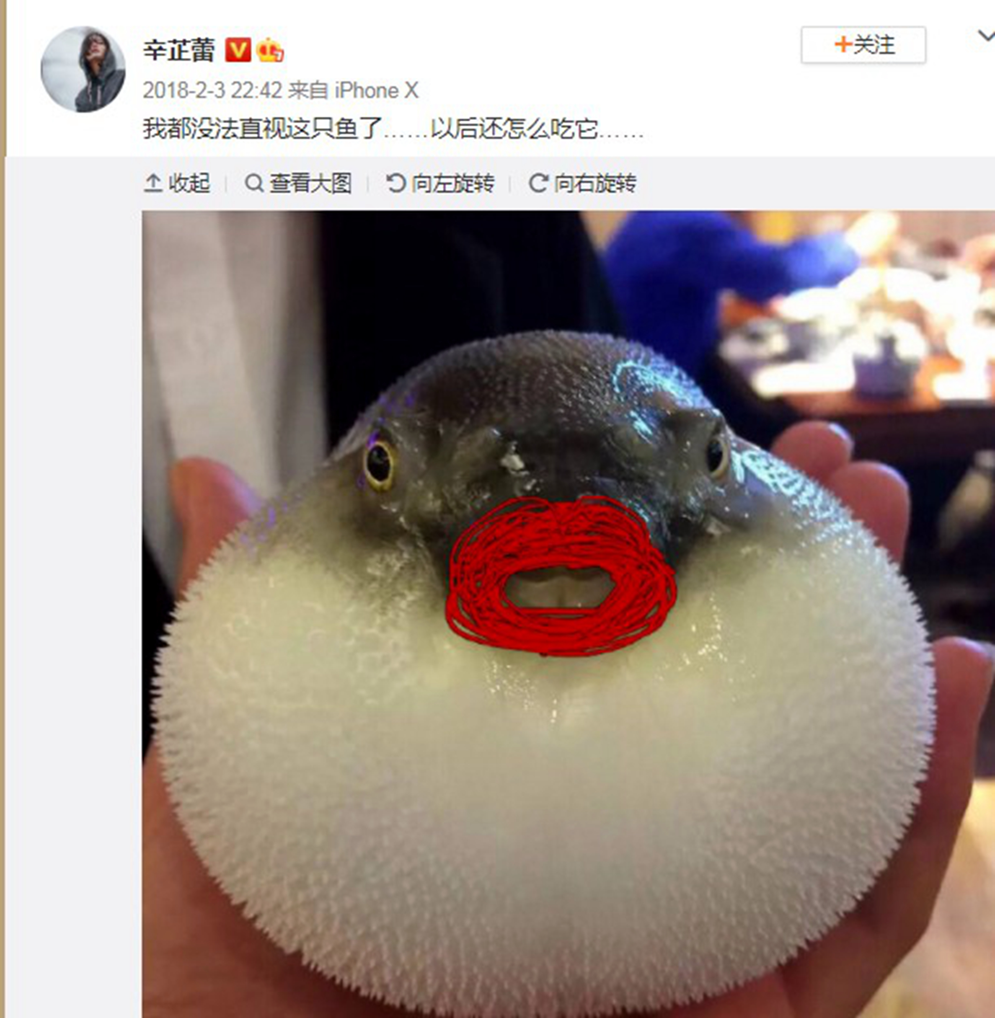 辛芷蕾耿直人设,辛芷蕾谈欲望和野心