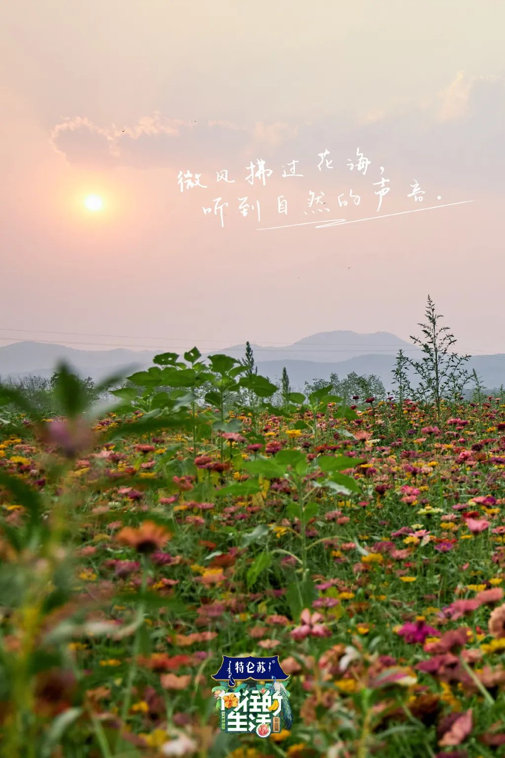 电视剧向往的生活在哪拍的取景地,电视剧向往的生活取景地