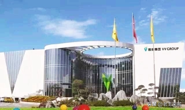 新盛注资维维股份,维维股份新盛集团现状