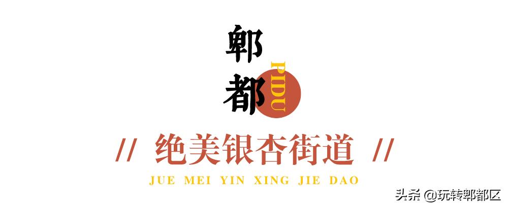 郫都区十大银杏打卡地,郫都区看银杏最好的地方