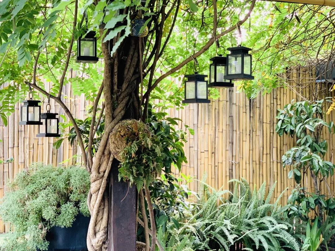 用阅读触摸成都｜在成都不能错过的10家书店（下）